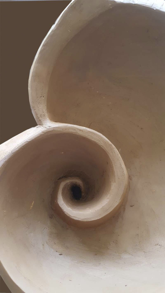 Forma de agua detalle espiral